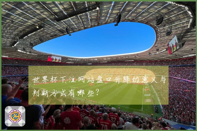 世界杯下注网站盘口升降的意义与判断方式有哪些？