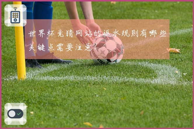 世界杯竞猜网站的返水规则有哪些关键点需要注意？