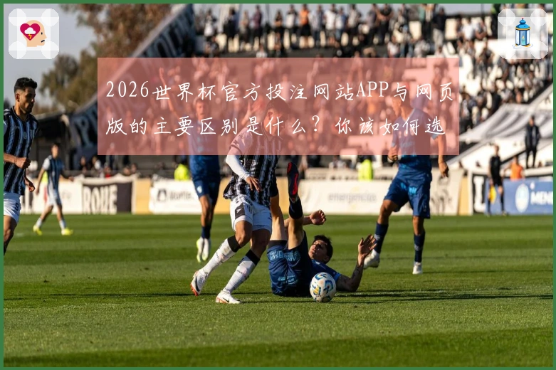 2026世界杯官方投注网站APP与网页版的主要区别是什么？你该如何选择？