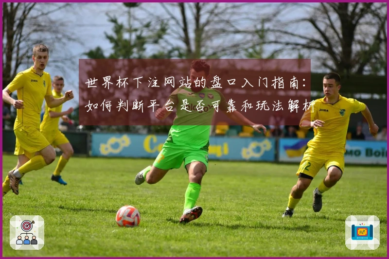 世界杯下注网站的盘口入门指南：如何判断平台是否可靠和玩法解析
