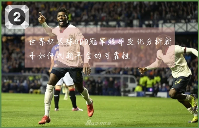 世界杯买球app冠军赔率变化分析新手如何判断平台的可靠性