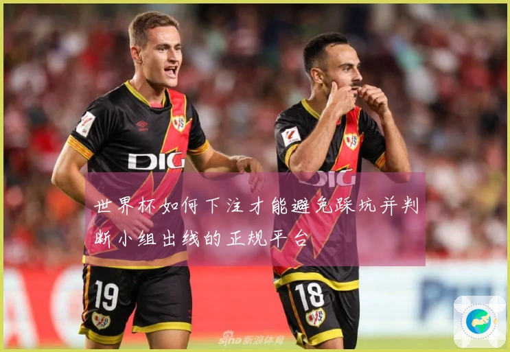 世界杯如何下注才能避免踩坑并判断小组出线的正规平台