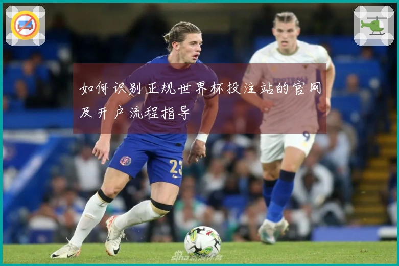 如何识别正规世界杯投注站的官网及开户流程指导