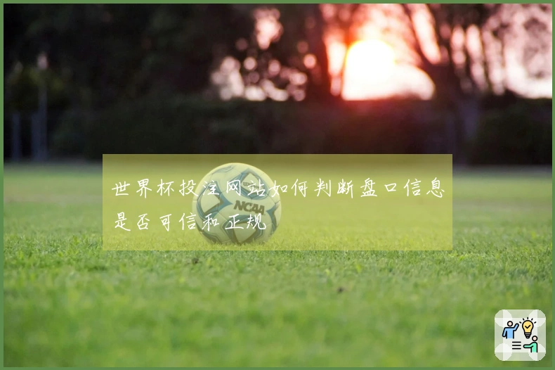 世界杯投注网站如何判断盘口信息是否可信和正规