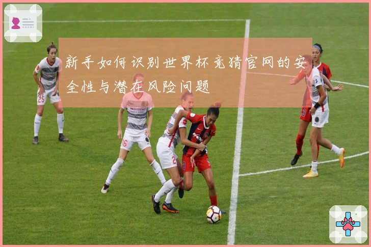 新手如何识别世界杯竞猜官网的安全性与潜在风险问题