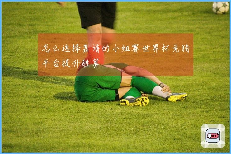 怎么选择靠谱的小组赛世界杯竞猜平台提升胜算