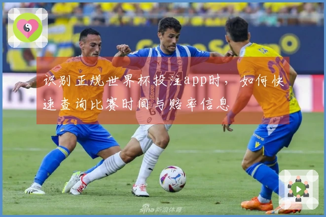 识别正规世界杯投注app时，如何快速查询比赛时间与赔率信息