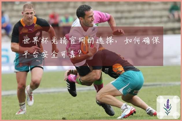 世界杯竞猜官网的选择，如何确保平台安全可靠？