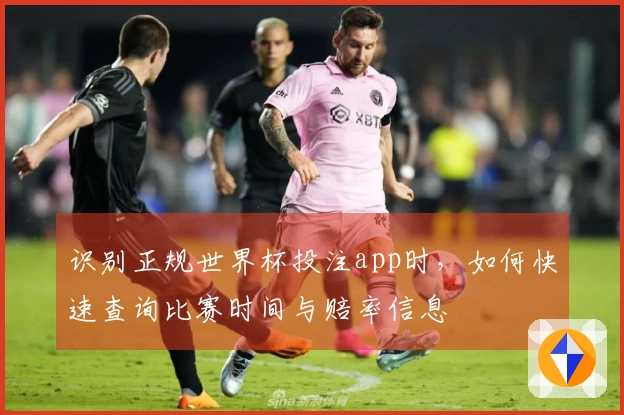 识别正规世界杯投注app时，如何快速查询比赛时间与赔率信息