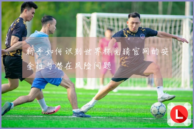 新手如何识别世界杯竞猜官网的安全性与潜在风险问题