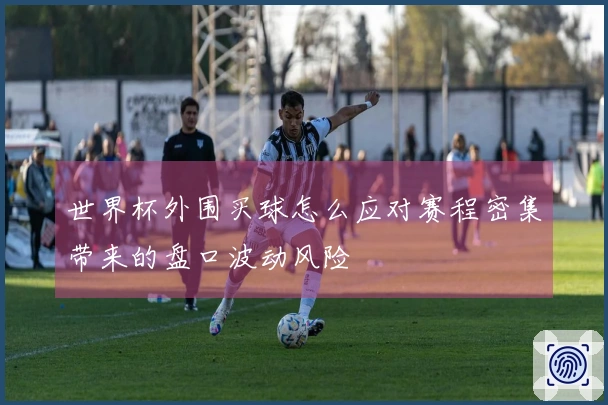 世界杯外围买球怎么应对赛程密集带来的盘口波动风险