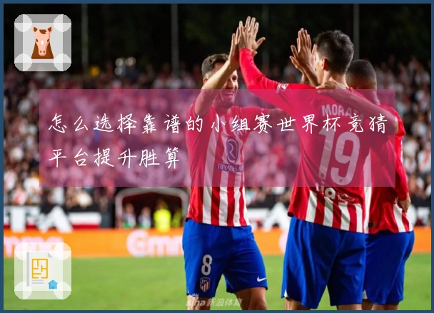 怎么选择靠谱的小组赛世界杯竞猜平台提升胜算