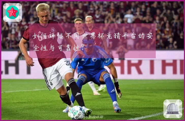 如何评估不同世界杯竞猜平台的安全性与可靠性？