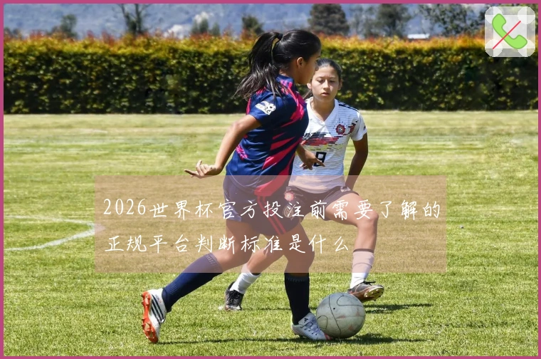 2026世界杯官方投注前需要了解的正规平台判断标准是什么