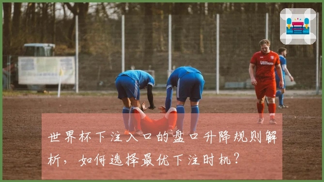 世界杯下注入口的盘口升降规则解析，如何选择最优下注时机？