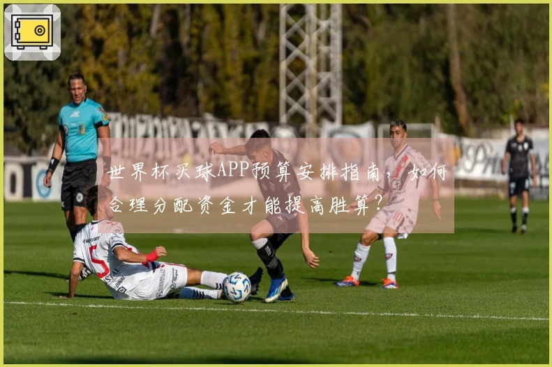 世界杯买球APP预算安排指南，如何合理分配资金才能提高胜算？