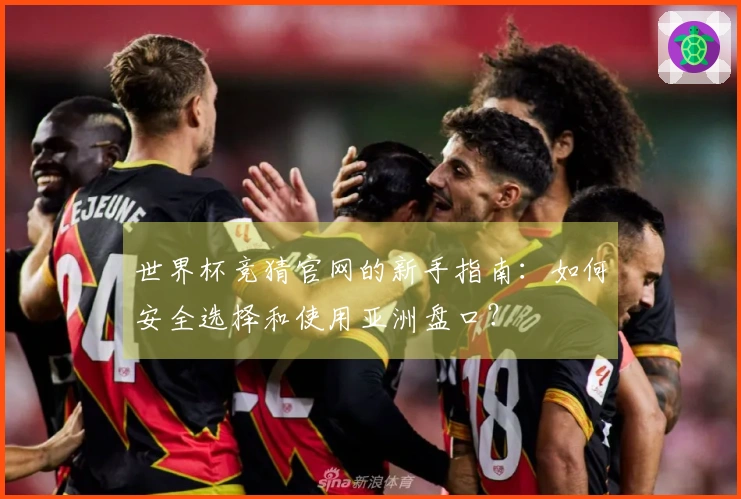 世界杯竞猜官网的新手指南：如何安全选择和使用亚洲盘口？