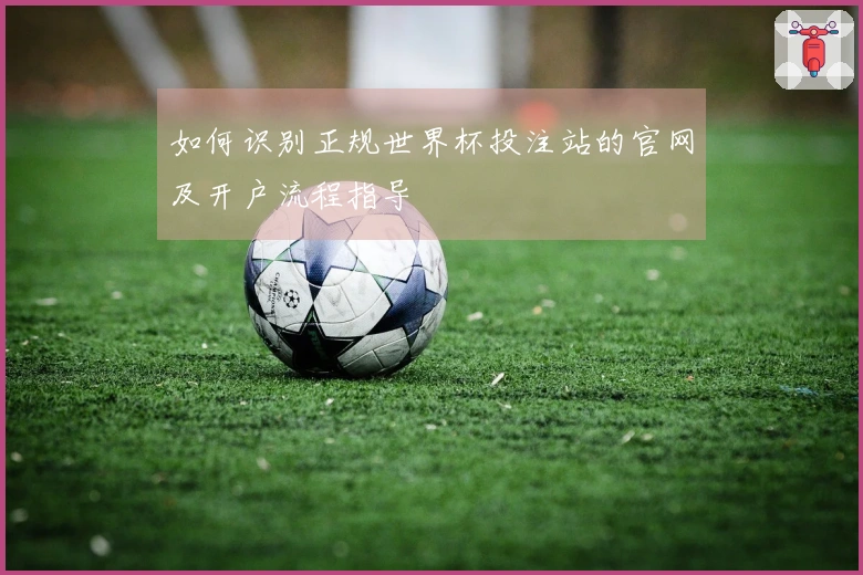 如何识别正规世界杯投注站的官网及开户流程指导