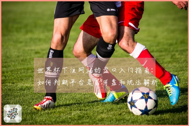 世界杯下注网站的盘口入门指南：如何判断平台是否可靠和玩法解析