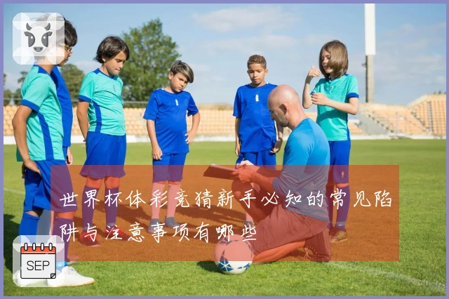 世界杯体彩竞猜新手必知的常见陷阱与注意事项有哪些
