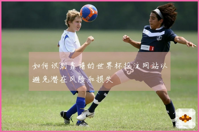 如何识别靠谱的世界杯投注网站以避免潜在风险和损失