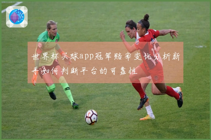 世界杯买球app冠军赔率变化分析新手如何判断平台的可靠性