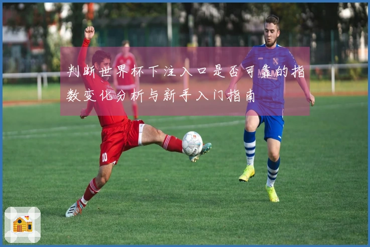判断世界杯下注入口是否可靠的指数变化分析与新手入门指南