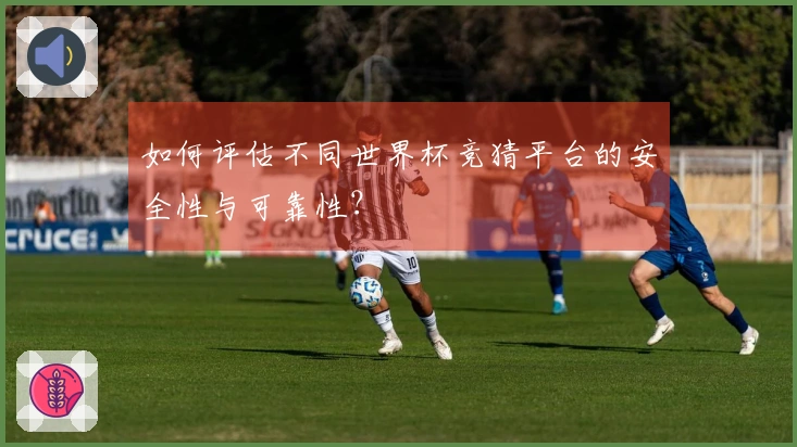 如何评估不同世界杯竞猜平台的安全性与可靠性？