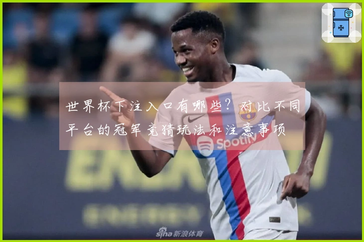 世界杯下注入口有哪些？对比不同平台的冠军竞猜玩法和注意事项