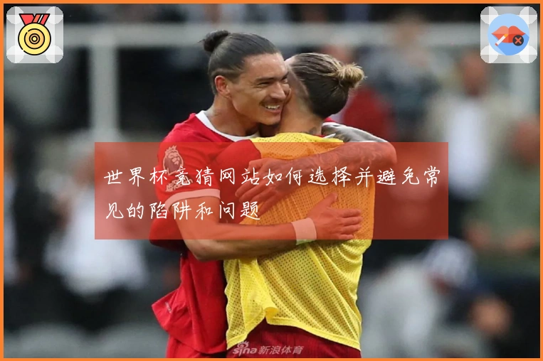 世界杯竞猜网站如何选择并避免常见的陷阱和问题
