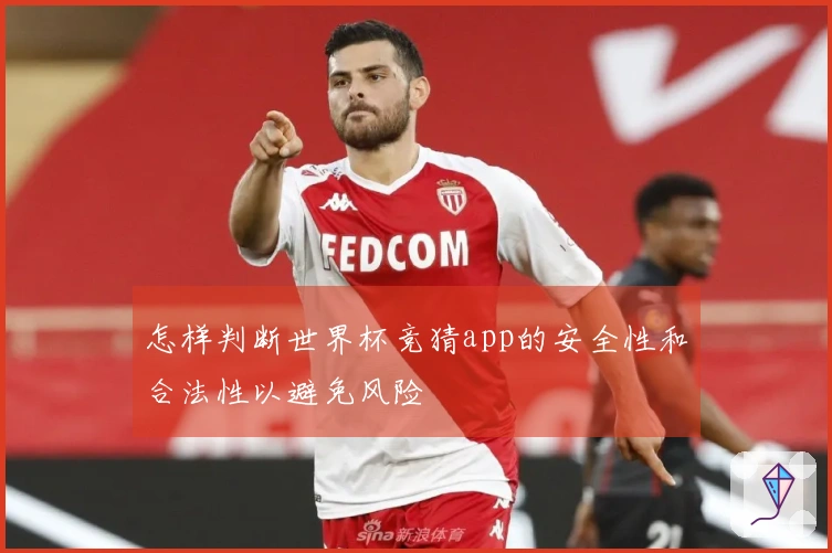怎样判断世界杯竞猜app的安全性和合法性以避免风险