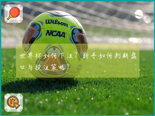 世界杯如何下注？新手如何判断盘口与投注策略？