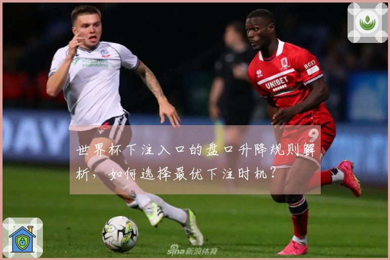 世界杯下注入口的盘口升降规则解析，如何选择最优下注时机？